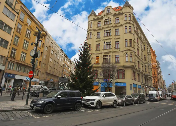Large-Elegant-Central-Terrace Apartment